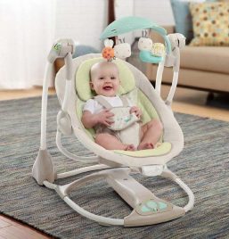 Ingenuity Convertme Swing-2-Seat - Seneca